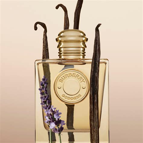 burberry goddess fragrance|where to buy burberry goddess.